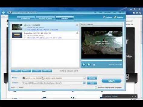 viddler video downloader.